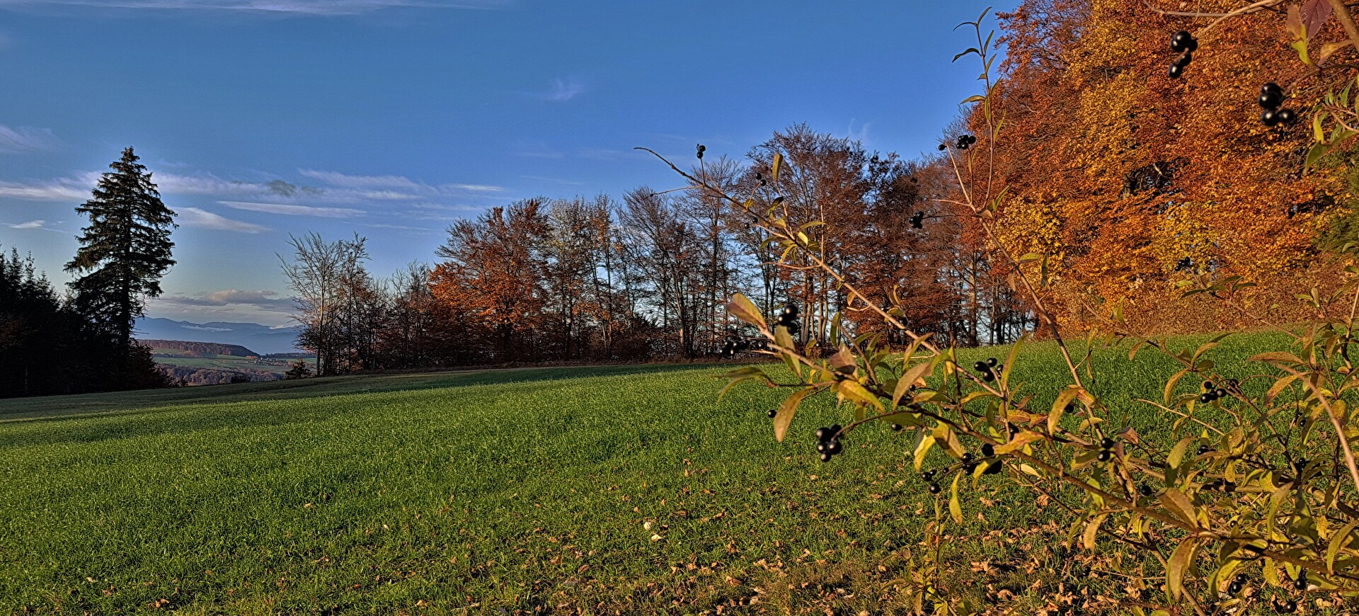 Banner Herbst