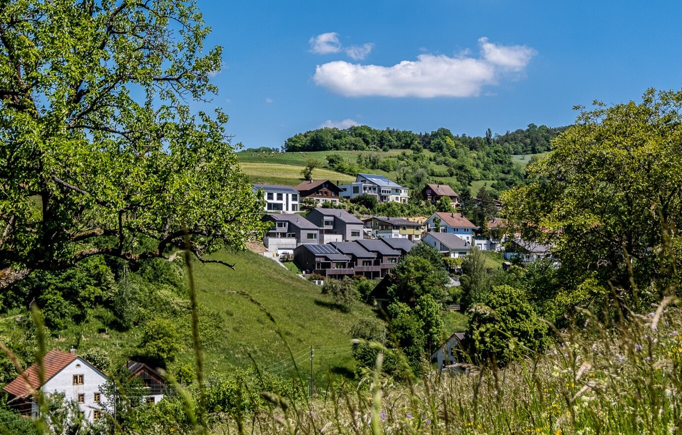 Blühender Baum