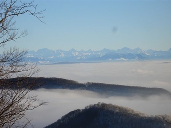 Aussicht 