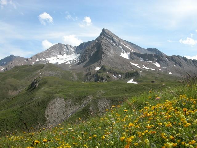 Im Hintergrund der Sulner - Gletscher