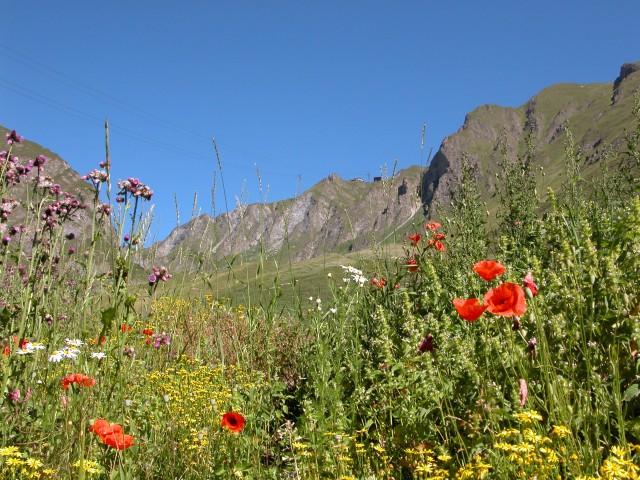 Im Hintergrund die Bergstation der Pendelbahn