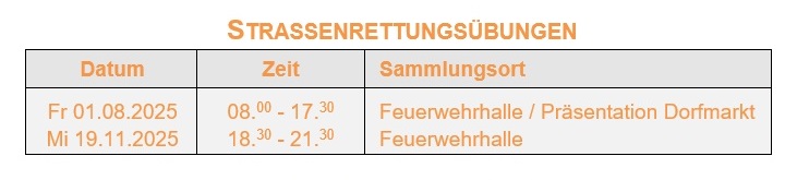 Strassenrettung