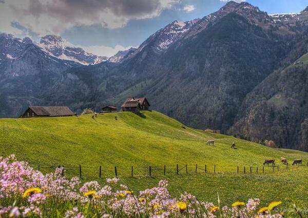 Frühling