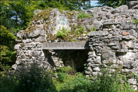 Ruine Burg Göskon