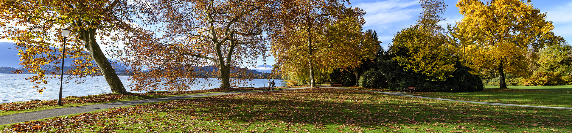 Herbst in Cham