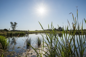 Cham im Frühling