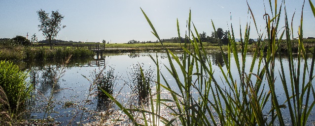 Bibersee in Cham