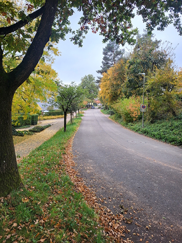 Die Eichstrasse vor der Sanierung.