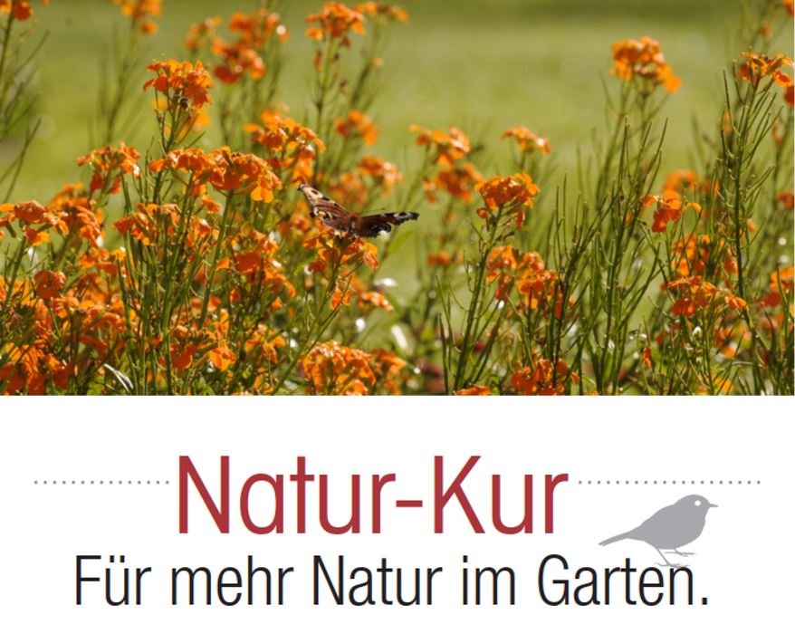Natur-Kur Banner
