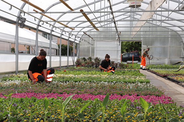 Etablissement horticole