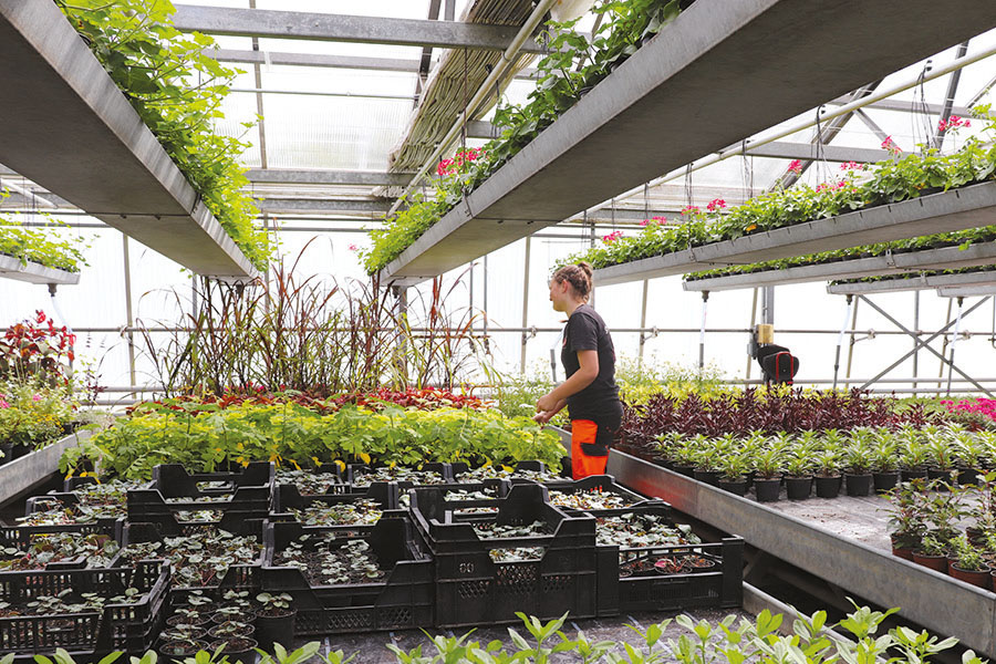 établissement horticole