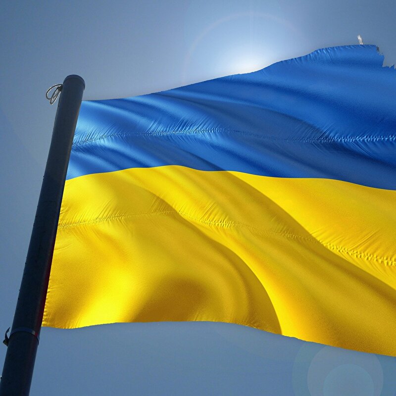 weisse Taube vor blau-gelber Ukraine Fahne