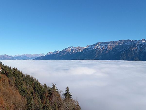 Sicht Harder Kulm auf Nebelmeer