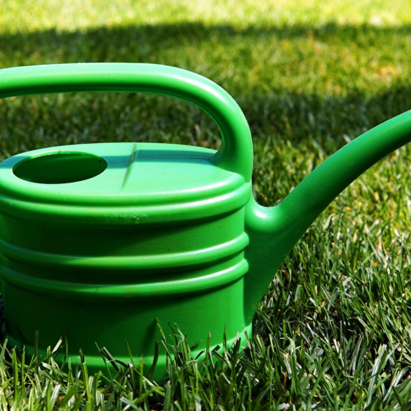 Trinkwasser sparen