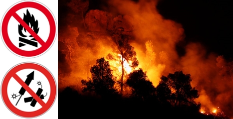 Bild mit Feuer im Wald und zwei Verbotssignalen kein Feuer und kein Feuerwerk