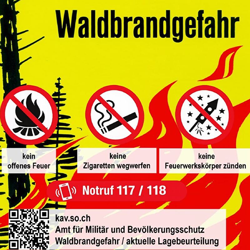Bild mit Feuer im Wald und drei Verbotssignalen kein Feuer, nicht rauchen und kein Feuerwerk