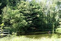 Weiher im Wald mit Entenhaus