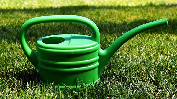 Trinkwasser sparen