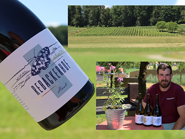 Bild vom Weinberg, einer Flasche Wein und dem Winzer