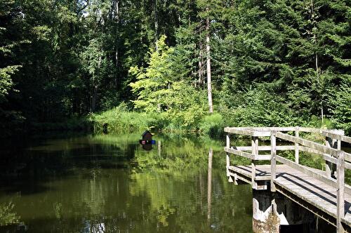 Sicht auf Grimpachweiher