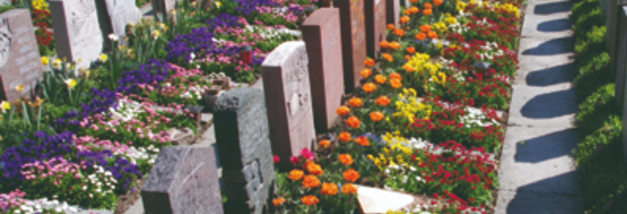 Gräber mit Blumenschmuck
