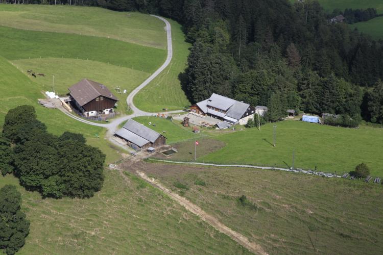 Restaurant Farneralp