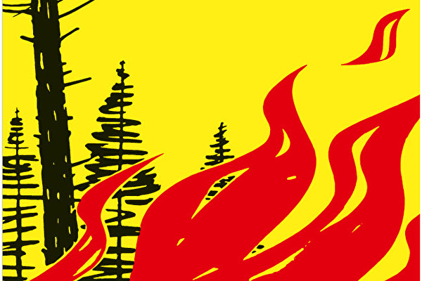 Plakat Feuerverbot im Wald und Waldesnähe