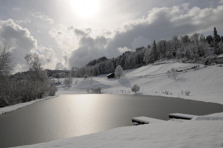 Rang 04 Eisweiher im Februar