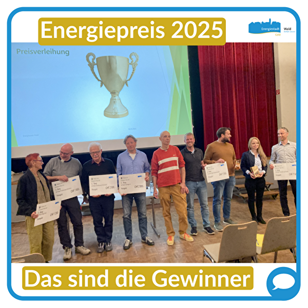 Foto der Gewinner des Energiepreises 2025