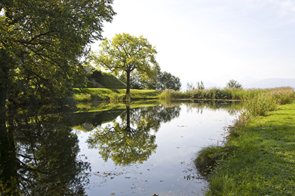 Streickelweiher (Foto: Hansruedi Wiget, Wald)