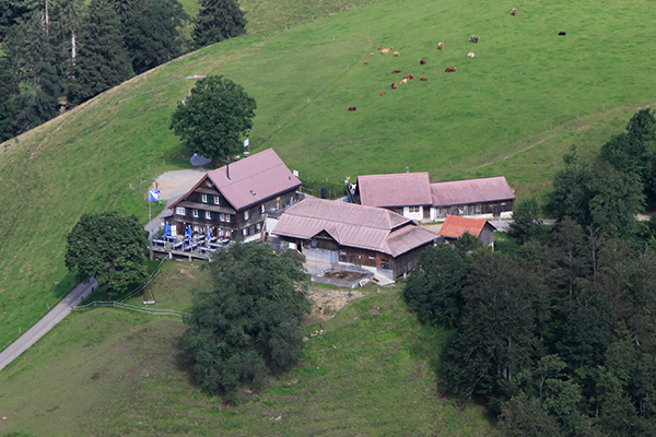 Die Alp Scheidegg ist ein wunderbarer Aussichtspunkt inkl. Restaurant