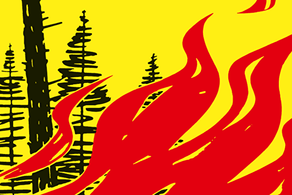 Plakat Feuerverbot im Wald und Waldesnähe