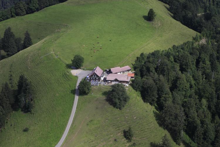 Restaurant Scheidegg