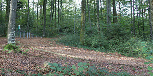 Finnenbahn im Nordholz Wald