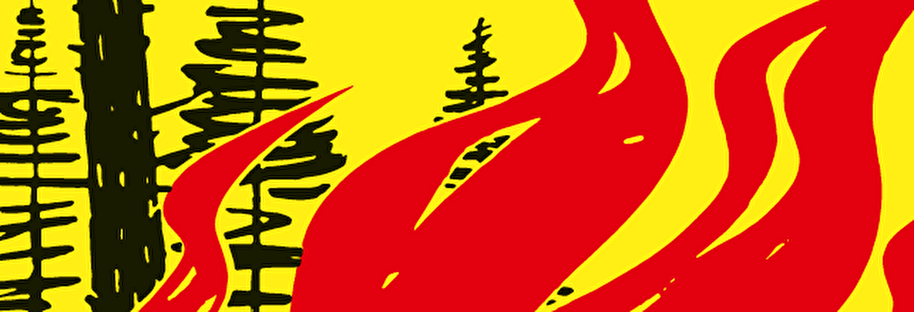 Plakat Feuerverbot im Wald und Waldesnähe