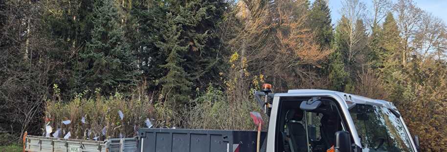 Pflanzen Bestellaktion