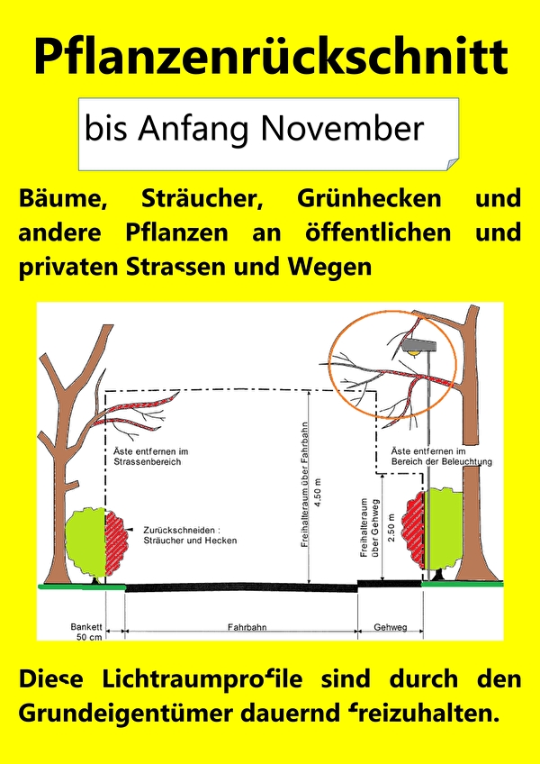 Plakat Pflanzenrückschnitt