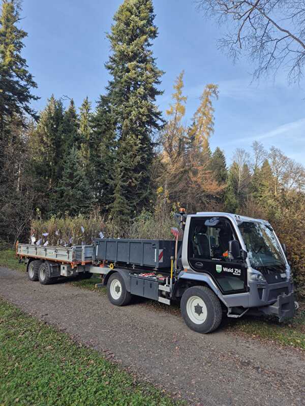 Pflanzen Bestellaktion