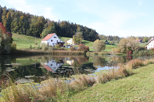 Wiliweiher