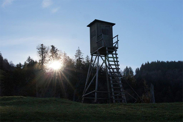 Jägersitz am Waldrand