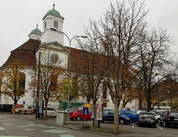 Drei Bäume auf dem Munzingerplatz müssen gefällt werden