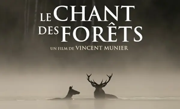 Le Chant des Forêts