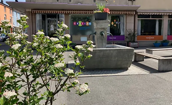 15 Jahre CULTIBO – Tag der offenen Tür