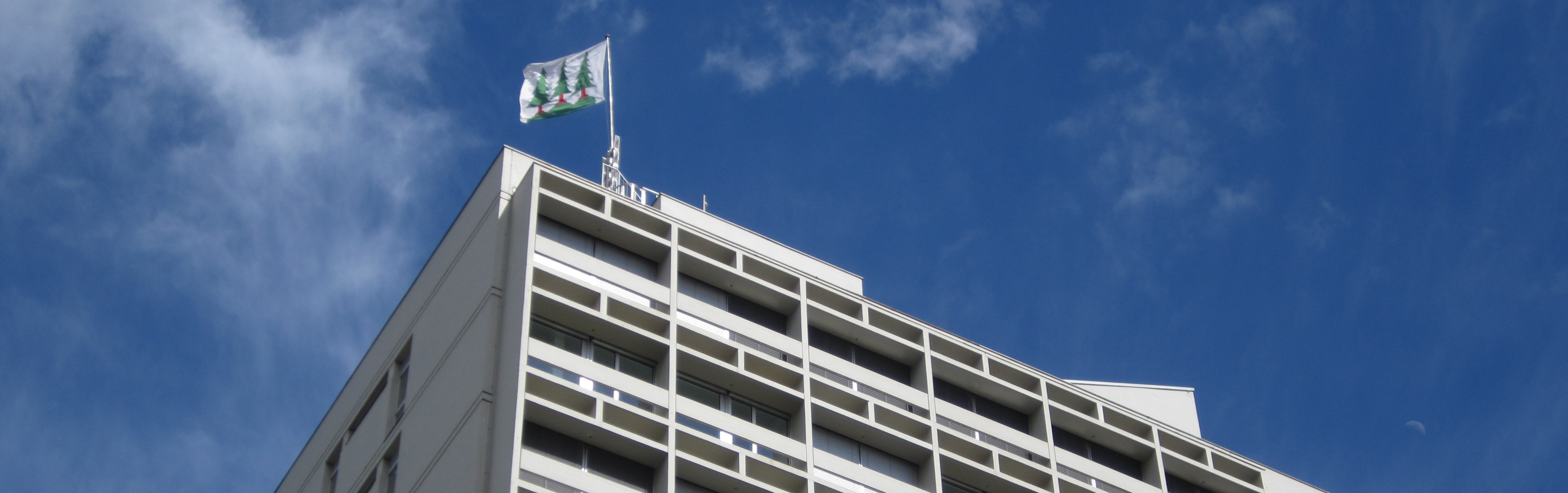 Zurzeit liegen keine aktuellen Angebote vor!