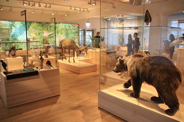 Haus der Museen