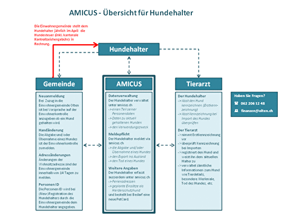 Vorliegende Grafik gibt einen Überblick über die Verknüpfung von Hundehalter mit Gemeinde, Tierarzt und der AMICUS-Datenbank.