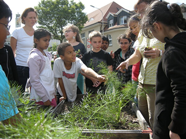 Bepflanzung Stadtgmües durch Schulkinder