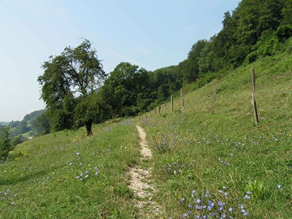 Naturschutzgebiet Ruttigen