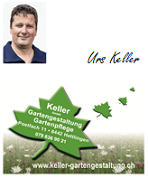 Keller Gartengestaltung