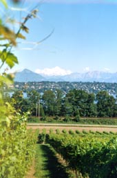 La commune en bref